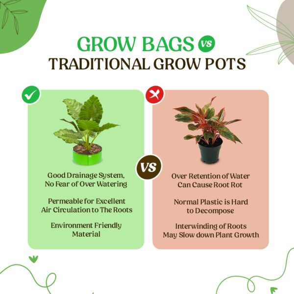 GROW BAG 12X24 INCH / 240 GSM/PACK OF 1 - Image 6